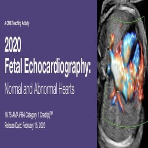 2020 Fetal Echocardiography Normal and Abnormal Hearts (VIDEOS)
