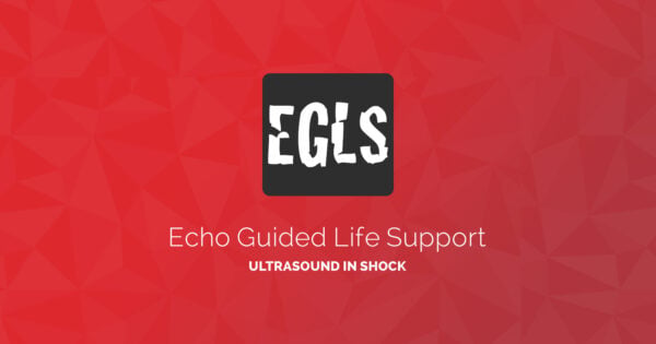 ECHO-Guided Life Support Using ultrasound to categorise shock and guide initial management (CME VIDEOS)