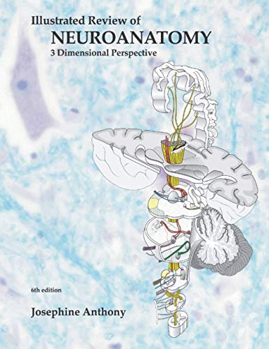 Illustrated Review of Neuroanatomy: 3 Dimensional Perspective (Scanned PDF)