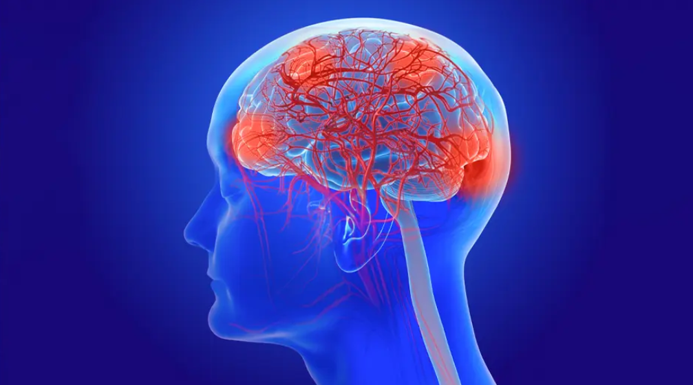 University of Miami Thinking Through Alzheimer’s: Exploring Cognition, Psychopharmacology and Geriatric Psychiatry 2026