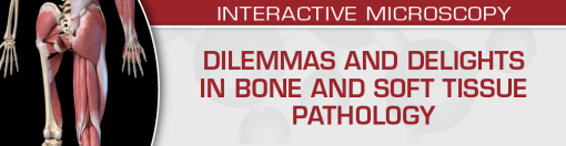 Dilemmas and Delights in Bone and Soft Tissue Pathology 2023