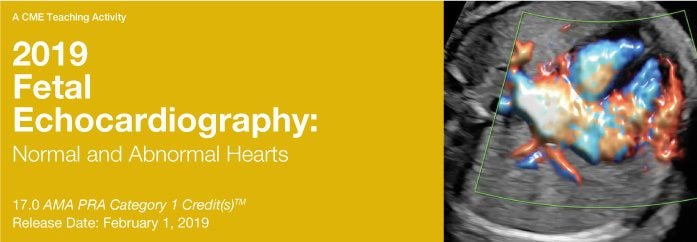 2019 Fetal Echocardiography: Normal and Abnormal Hearts (Videos)
