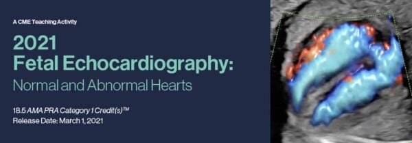Fetal Echocardiography Normal and Abnormal Hearts ( VIDEOS ) 2021