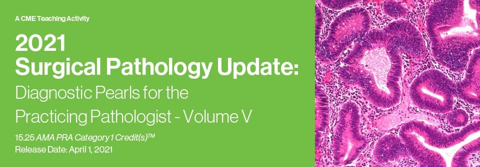 2021 Surgical Pathology Update: Diagnostic Pearls for the Practicing Pathologist – Volume V