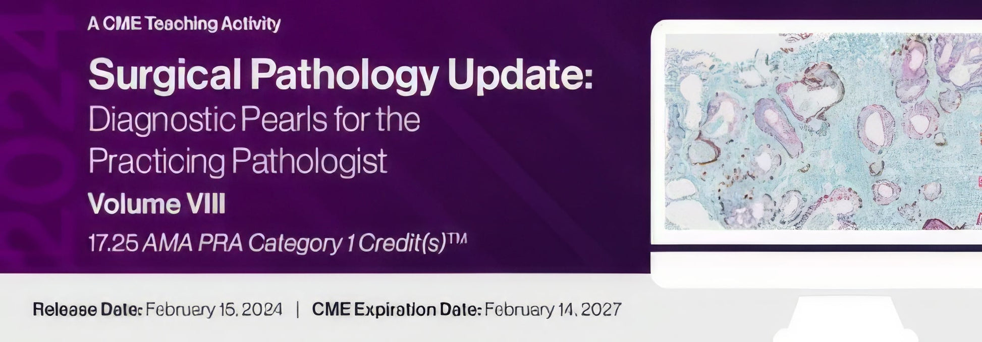 2024 Surgical Pathology Update Diagnostic Pearls for the Practicing Pathologist: Vol. VIII