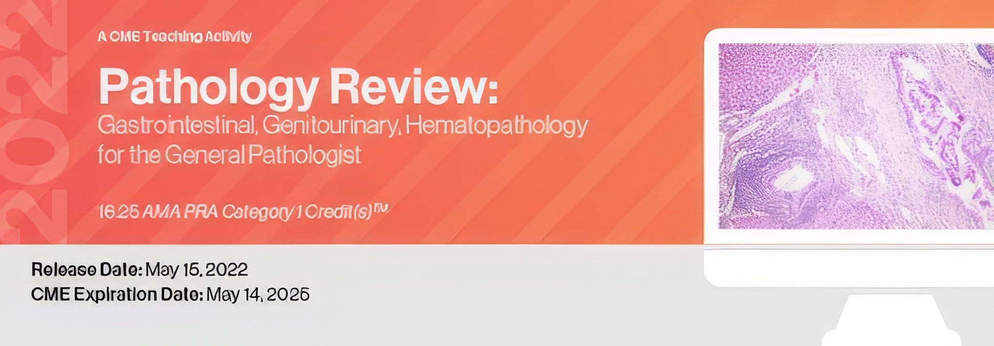 Pathology Review: Gastrointestinal, Genitourinary and Hematopathology for the General Pathologist 2022
