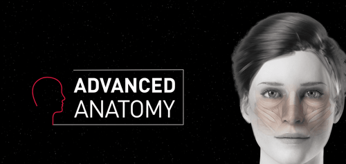 Advanced Facial Anatomy Series
