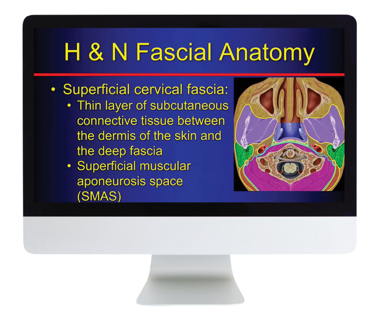 American Roentgen Ray Society The Suprahyoid Neck Pathology Through Anatomy 2023