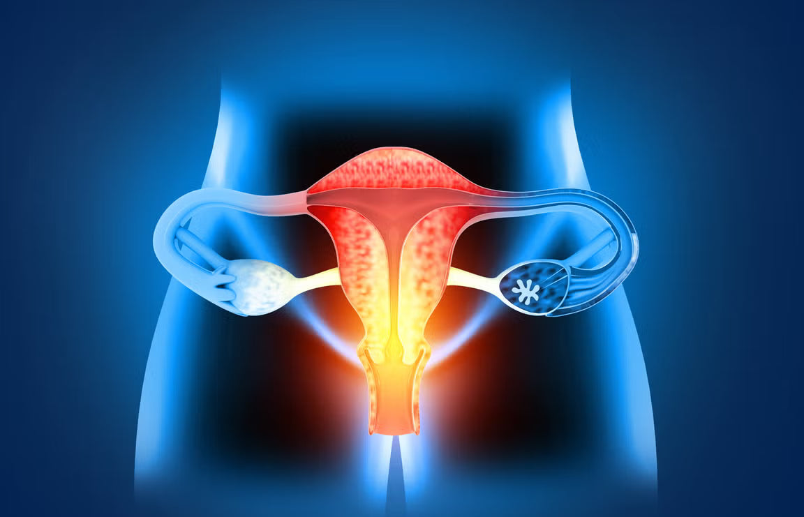 Best of Women’s Health, Module 3 (Videos + Slides)