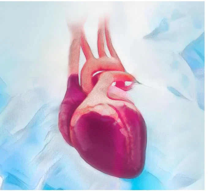 Cardiac Surgery Certification (CSC) Review Course 2022