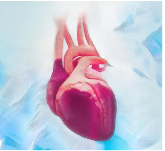 Cardiac Surgery Certification (CSC) Review Course 2022