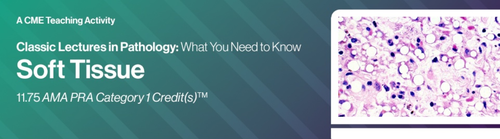 Classic Lectures in Pathology: What You Need to Know: Soft Tissue Pathology 2025