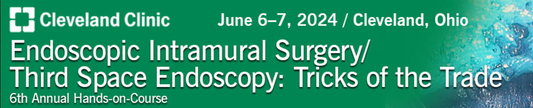 Cleveland Clinic Endoscopic Intramural Surgery Third Space Endoscopy Insights &amp; Tricks of the Trade 2024