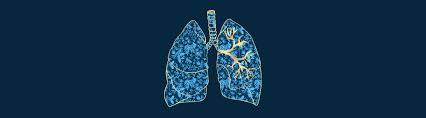 Columbia University Pulmonology-Rheumatology 2026 (Videos)