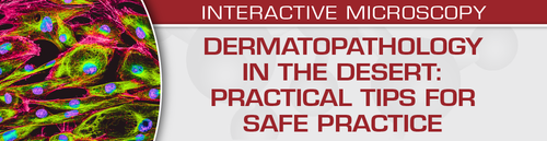 USCAP Dermatopathology in the Desert: Practical Tips for Safe Practice 2024