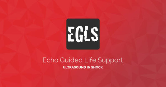 ECHO-Guided Life Support Using ultrasound to categorise shock and guide initial management (CME VIDEOS)
