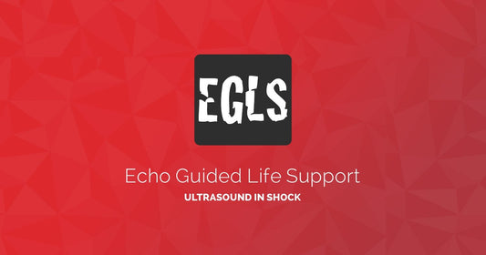 ECHO-Guided Life Support Using ultrasound to categorise shock and guide initial management ( VIDEOS)