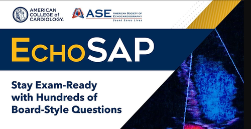EchoSAP 2024 complete Video + PDF + Q&A