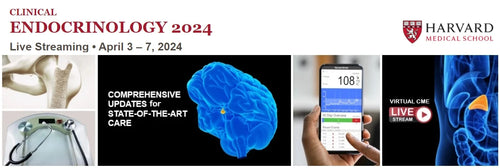 Harvard Clinical Endocrinology 2024