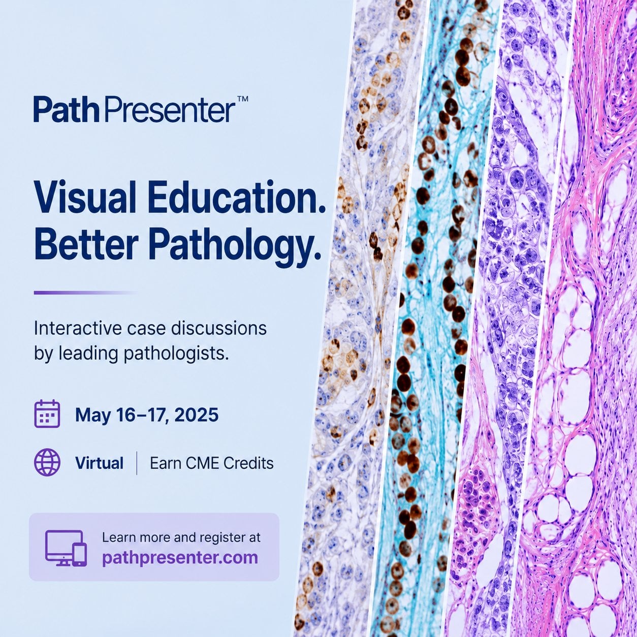 Memorial Sloan Kettering Cancer Center The Pathology of Neoplastic Diseases 2026