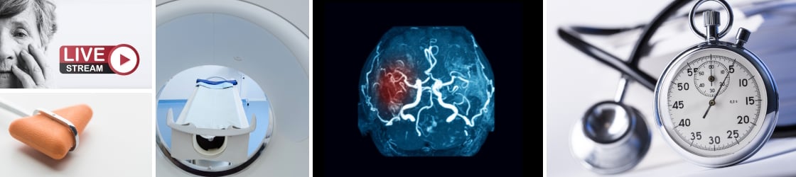 Harvard Neurological Emergencies 2025 (Videos + Slides PDFs)