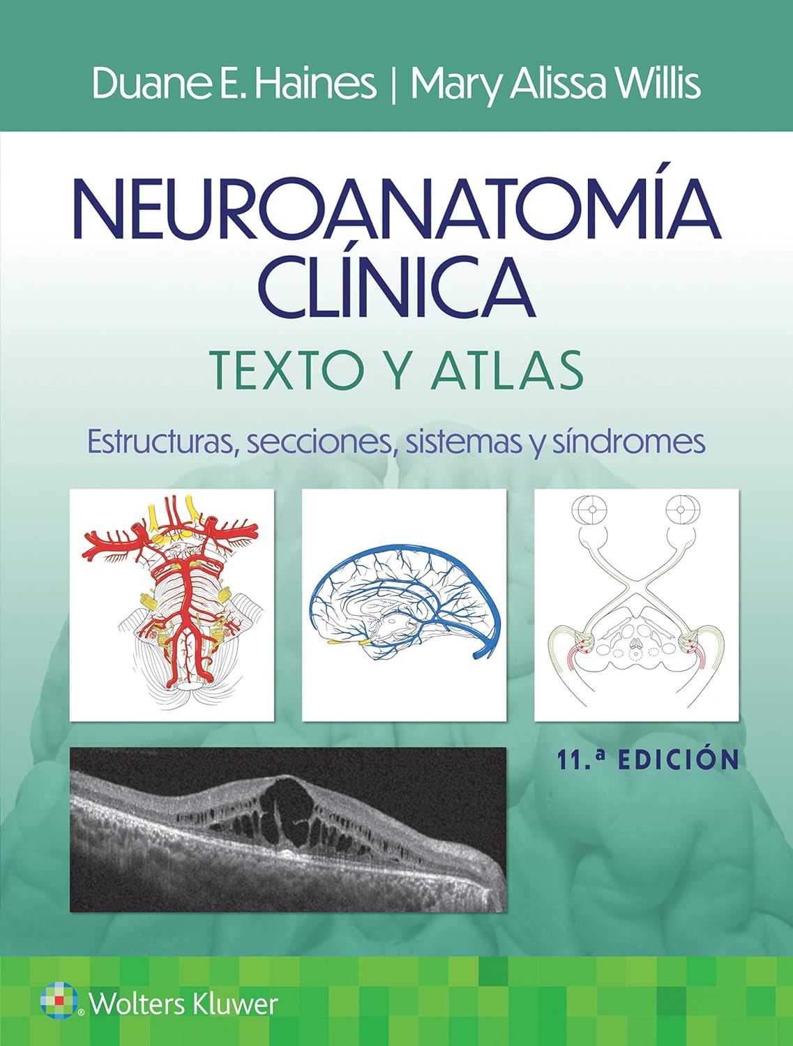 Neuroanatomía clínica. Texto y atlas (Spanish Edition), 11th Edition (EPUB)