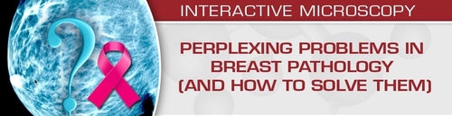 Perplexing Problems in Breast Pathology (and How to Solve them) 2020