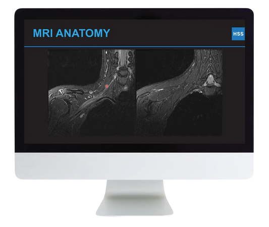 Plexus and Peripheral Nerve Imaging 2024