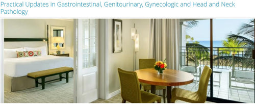 Scientific Symposiums International Practical Updates in Gastrointestinal, Genitourinary, Gynecologic and Head and Neck Pathology 2025