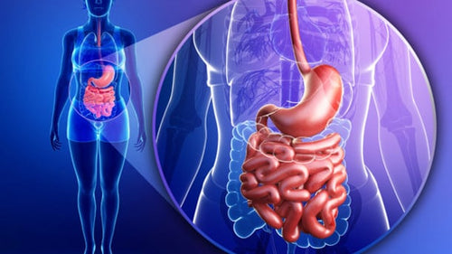 UChicago Medicine 8th Annual Updates in Digestive Diseases 2023