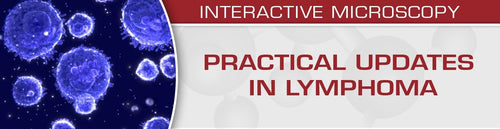 USCAP Practical Updates in Lymphoma 2018 (CME VIDEOS)