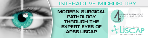 USCAP Second Edition Modern Surgical Pathology Through the Expert Eyes of APSS-USCAP 2020