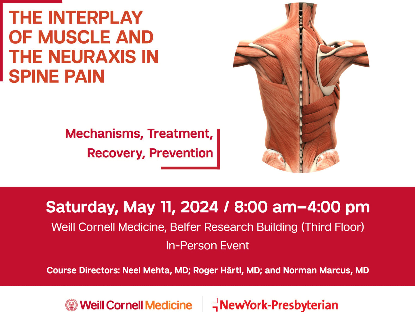 The Interplay of Muscle and the Neuraxis in Spine Pain 2024