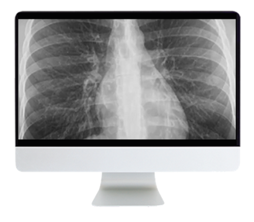 Case-Based Imaging Review Online Course 2022