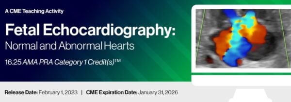 2023 Fetal Echocardiography: Normal and Abnormal Hearts
